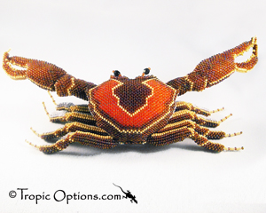 Crab - Giant - Orange/Earth