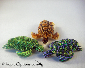 Sea Turtle - Medium - Assorted