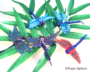 Dragonfly Keychain - Assorted